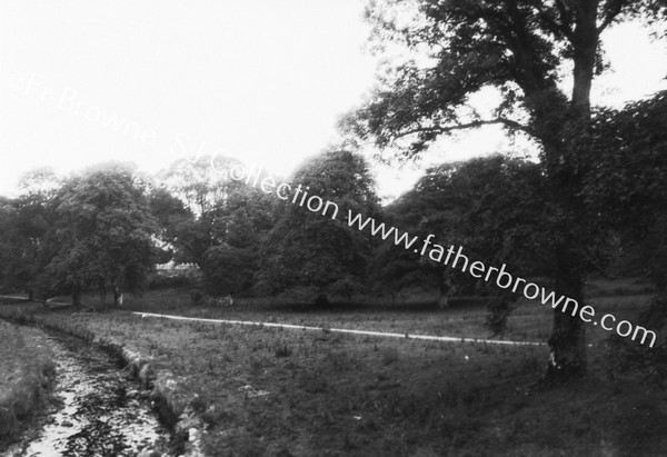 TINTERN ABBEY VIEW OF AVENUE & PARK (FIND ABBEY?) FROM BRIDGE